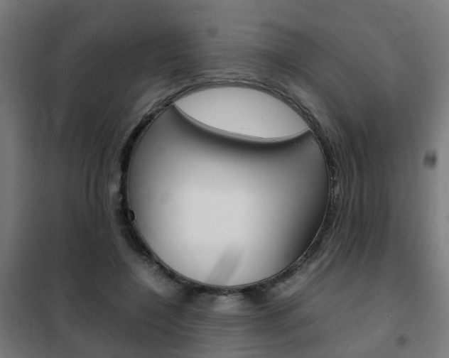 X0000102250548200807250903