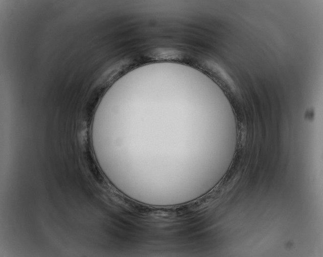 X0000102250549200807250903