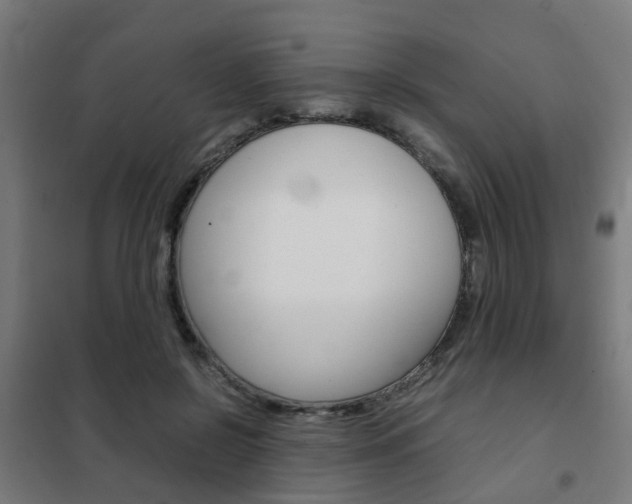 X0000102250550200807250903