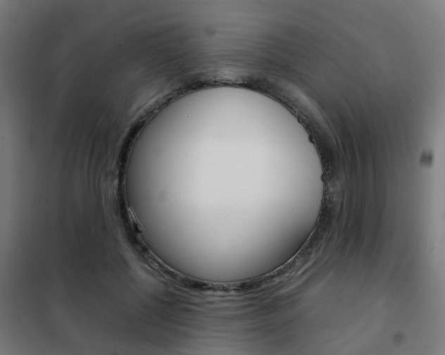 X0000102250552200807250903