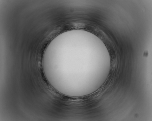 X0000102250553200807250903