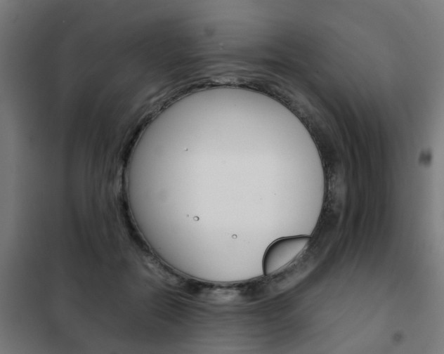 X0000102250554200807250903
