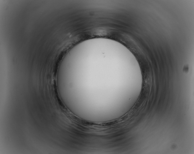 X0000102250555200807250903