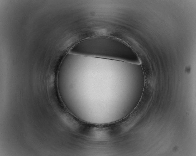 X0000102250556200807250903
