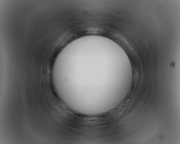 X0000102250557200807250903