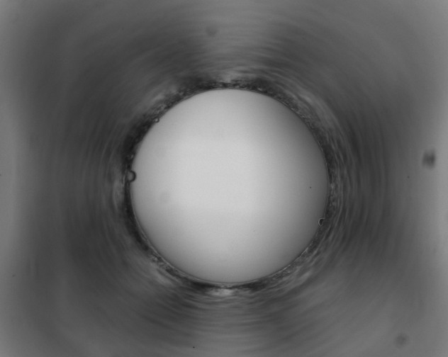 X0000102250558200807250903
