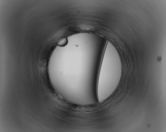 X0000102250559200807250903