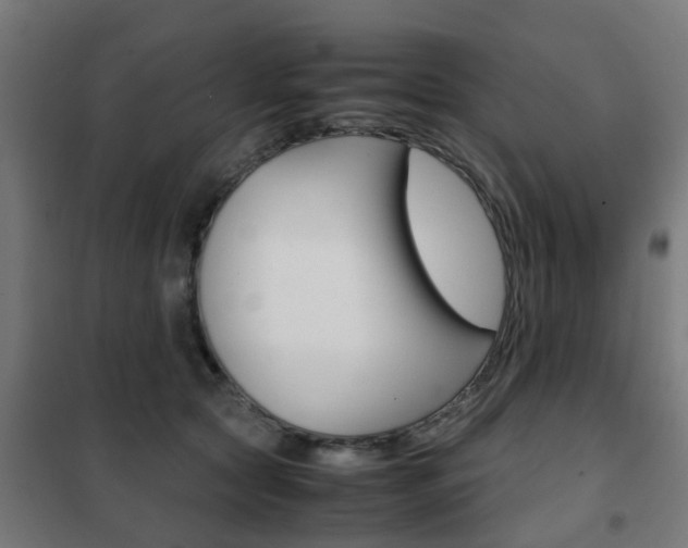 X0000102250561200807250903