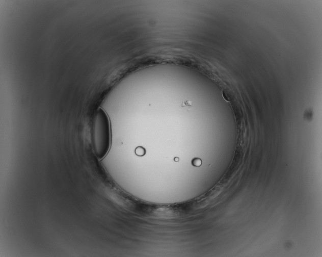 X0000102250562200807250903