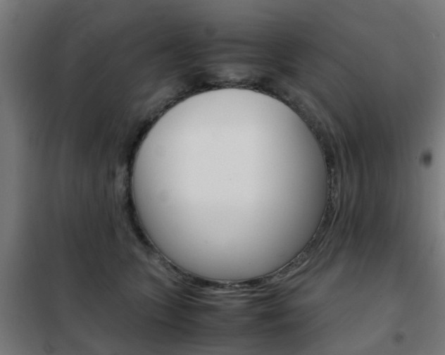 X0000102250563200807250903