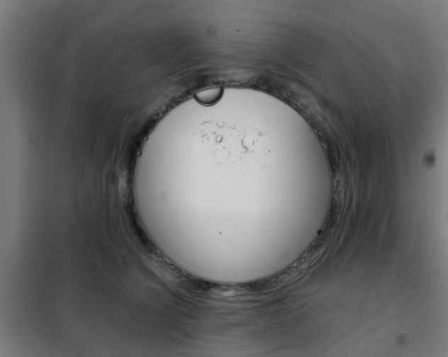 X0000102250564200807250903