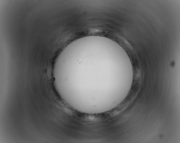 X0000102250565200807250903