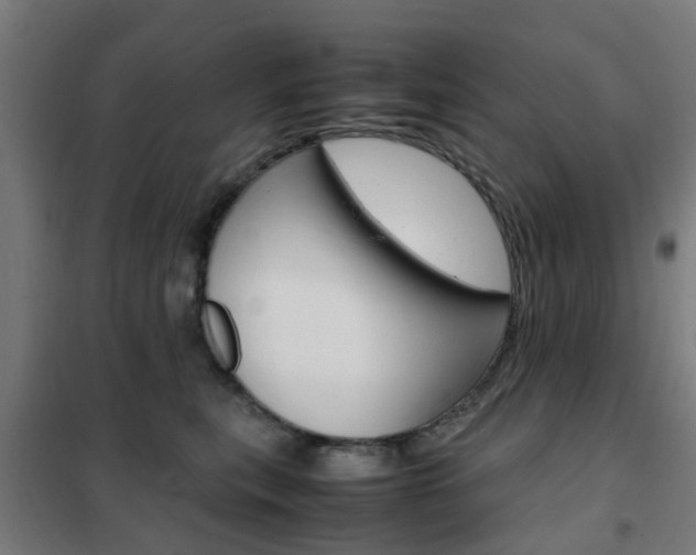 X0000102250567200807250903