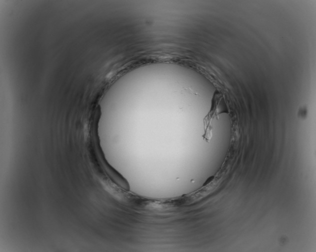 X0000102250568200807250903