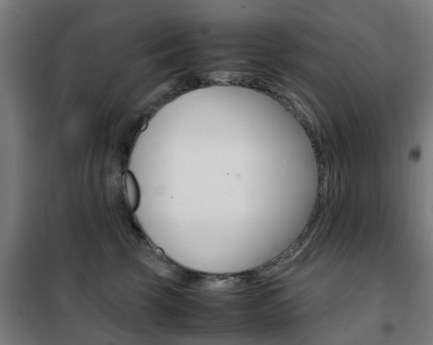 X0000102250569200807250903