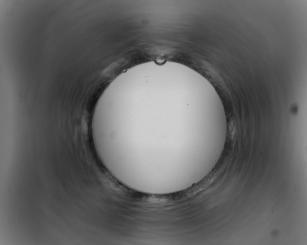 X0000102250570200807250903