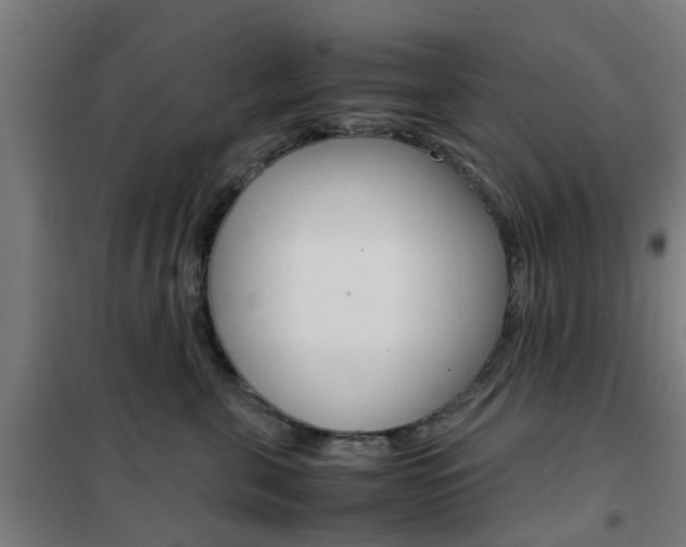 X0000102250571200807250903