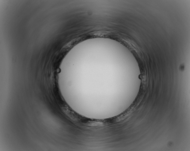 X0000102250572200807250903