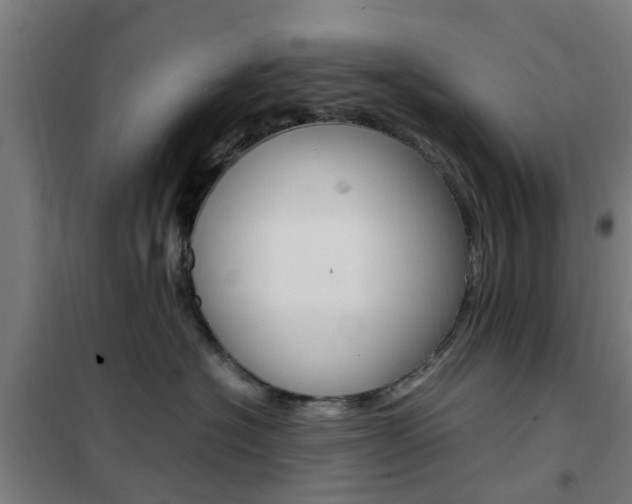 X0000102250574200807250903