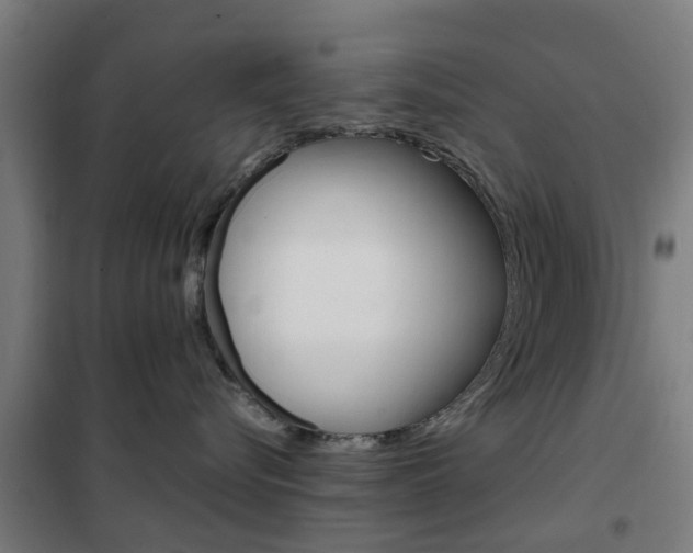 X0000102250576200807250903