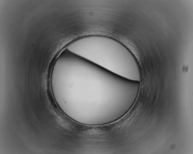 X0000102250578200807250903