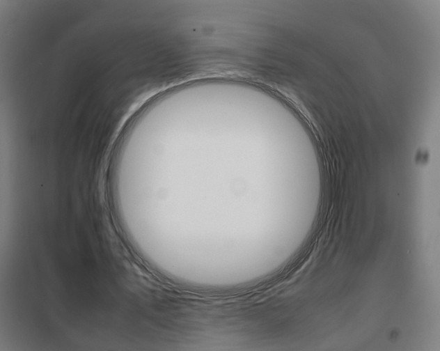 X0000102250579200807250903