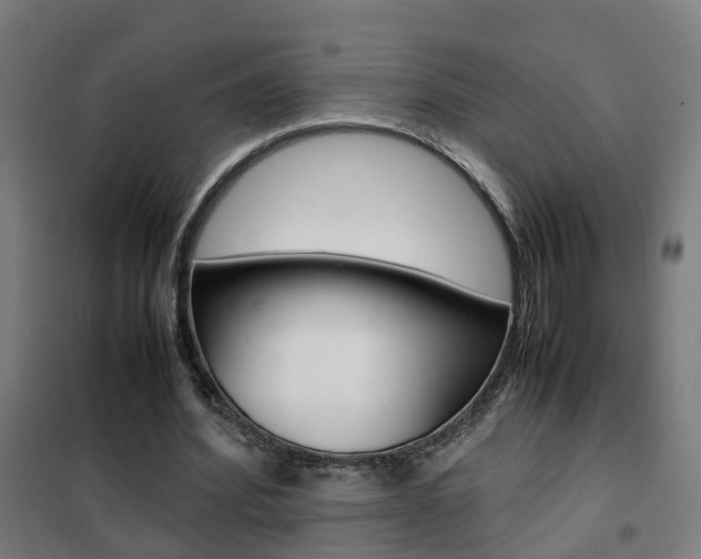 X0000102250580200807250903