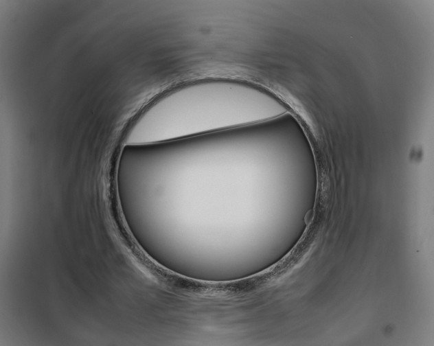 X0000102250581200807250903