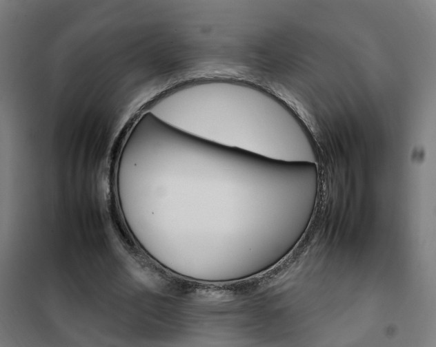 X0000102250582200807250903
