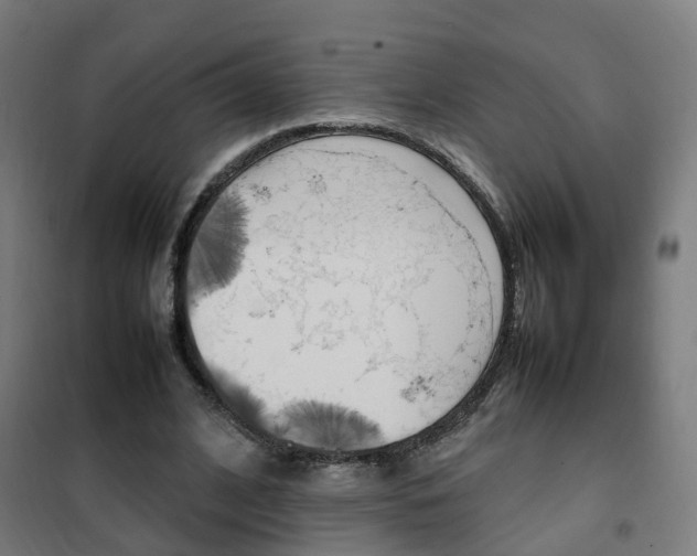 X0000102250584200807250903