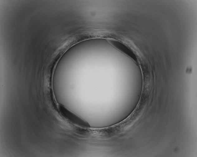 X0000102250585200807250903
