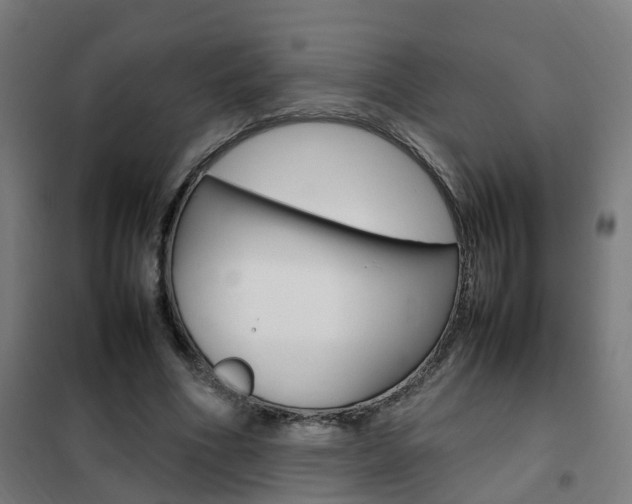 X0000102250586200807250903