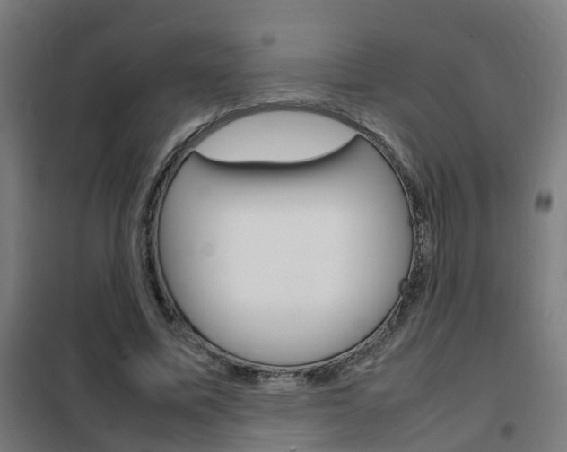 X0000102250587200807250903