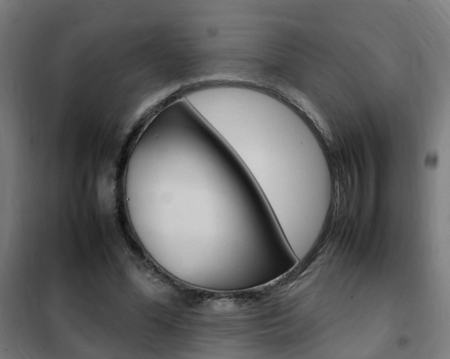 X0000102250588200807250903