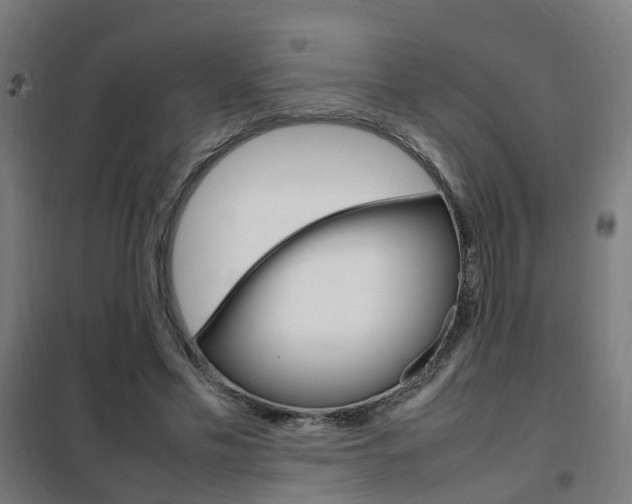 X0000102250589200807250903