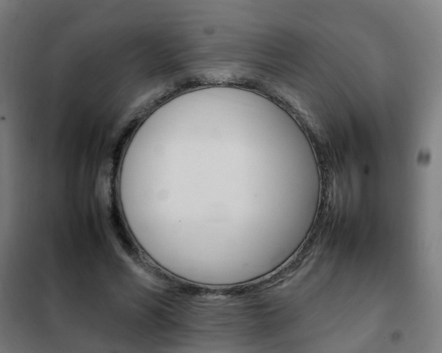 X0000102250590200807250903