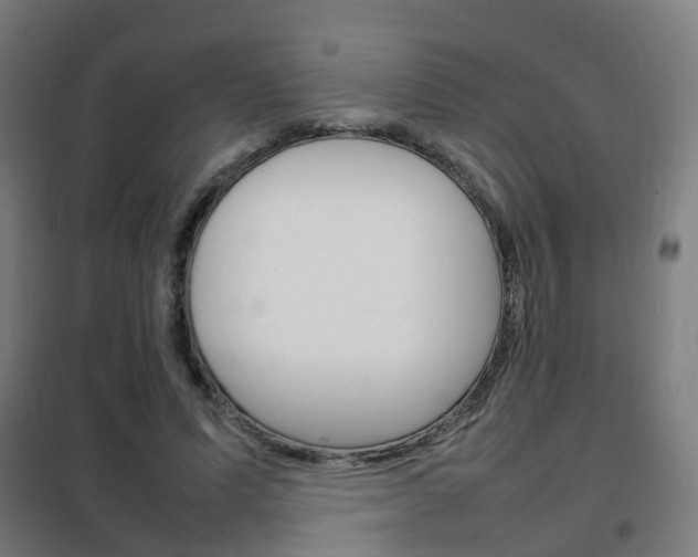 X0000102250591200807250903