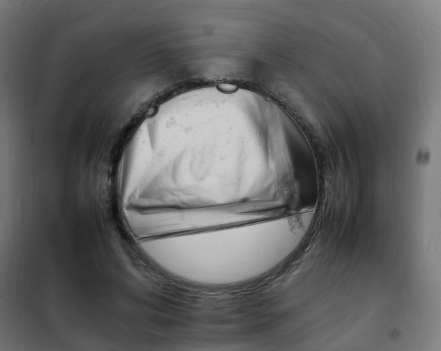 X0000102250592200807250903
