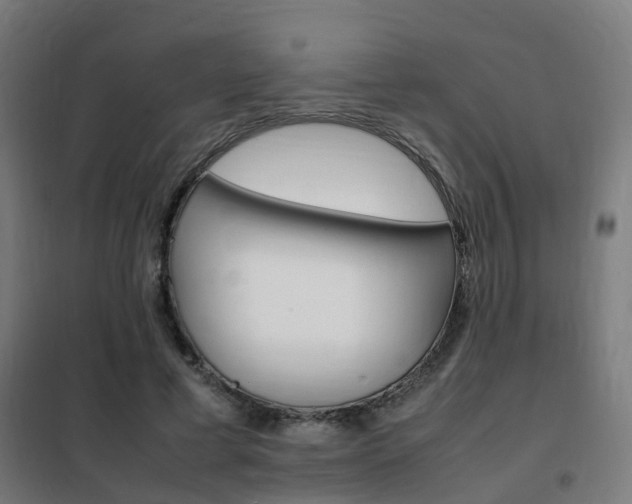 X0000102250593200807250903