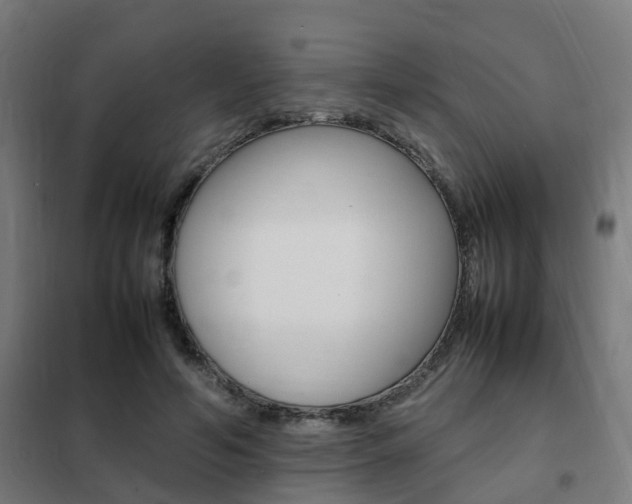 X0000102250594200807250903