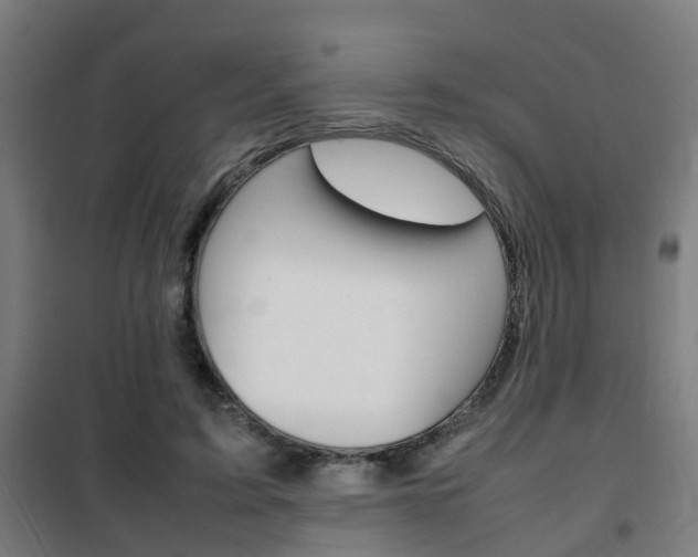 X0000102250595200807250902
