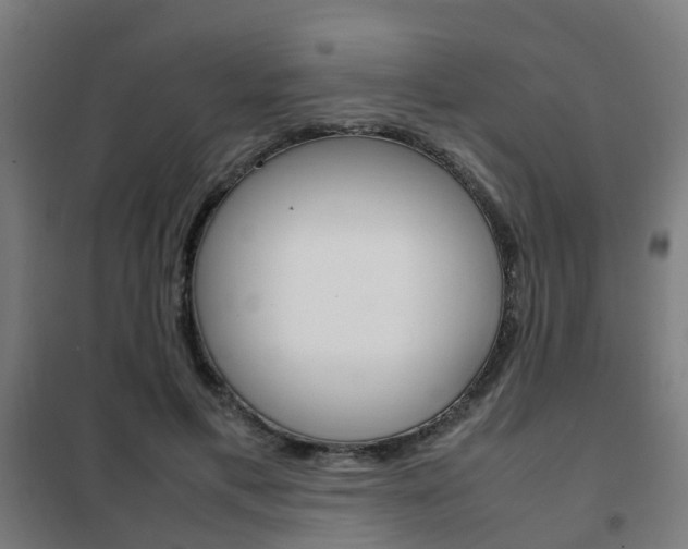 X0000102250597200807250902