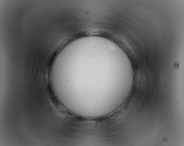 X0000102250598200807250902