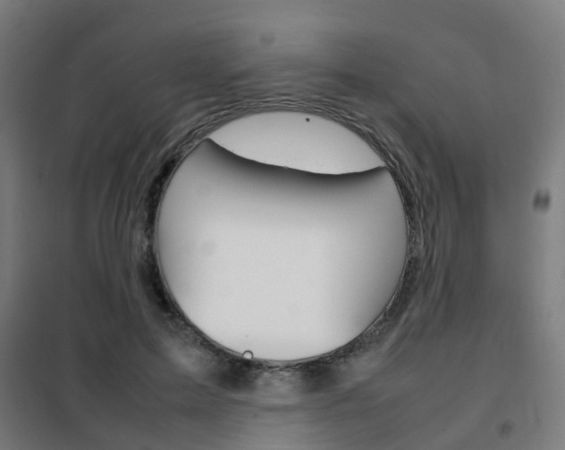 X0000102250599200807250902