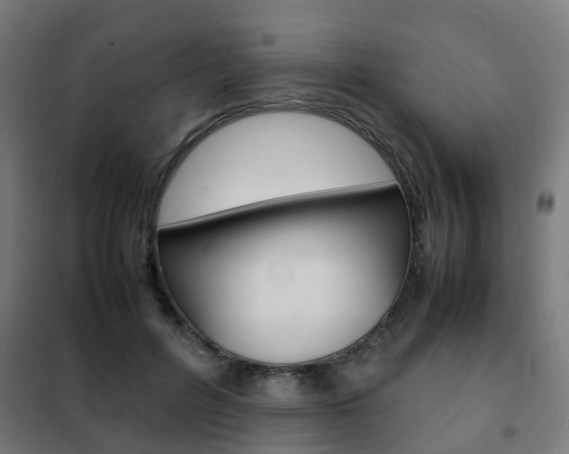 X0000102250600200807250902