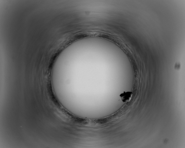X0000102250601200807250902