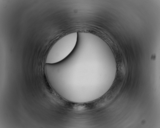X0000102250602200807250902