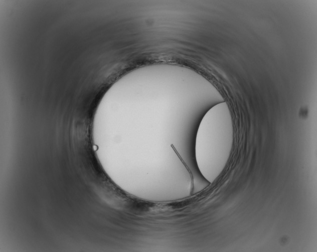 X0000102250603200807250902
