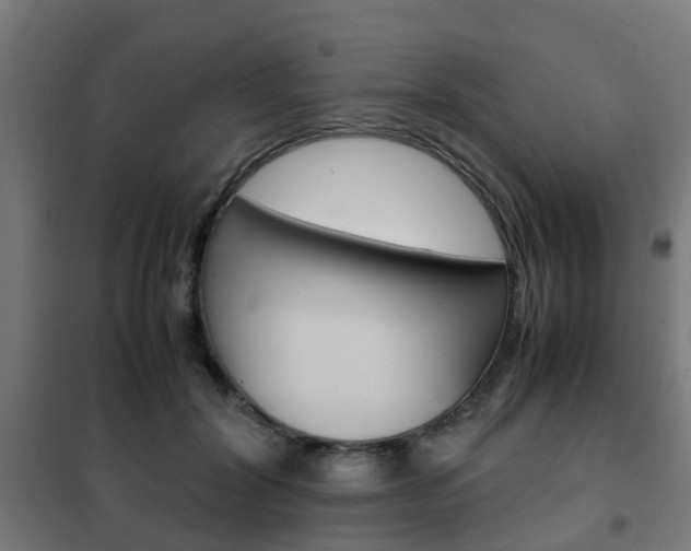 X0000102250604200807250902