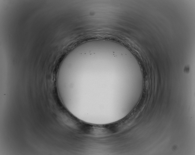X0000102250605200807250902